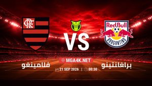 تفاصيل وموعد مباراة فلامينغو و براغانتينو بتاريخ 21/9/2026 في الدوري البرازيلي